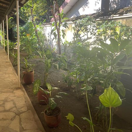 Hostal Casa Abierta León 외부 사진