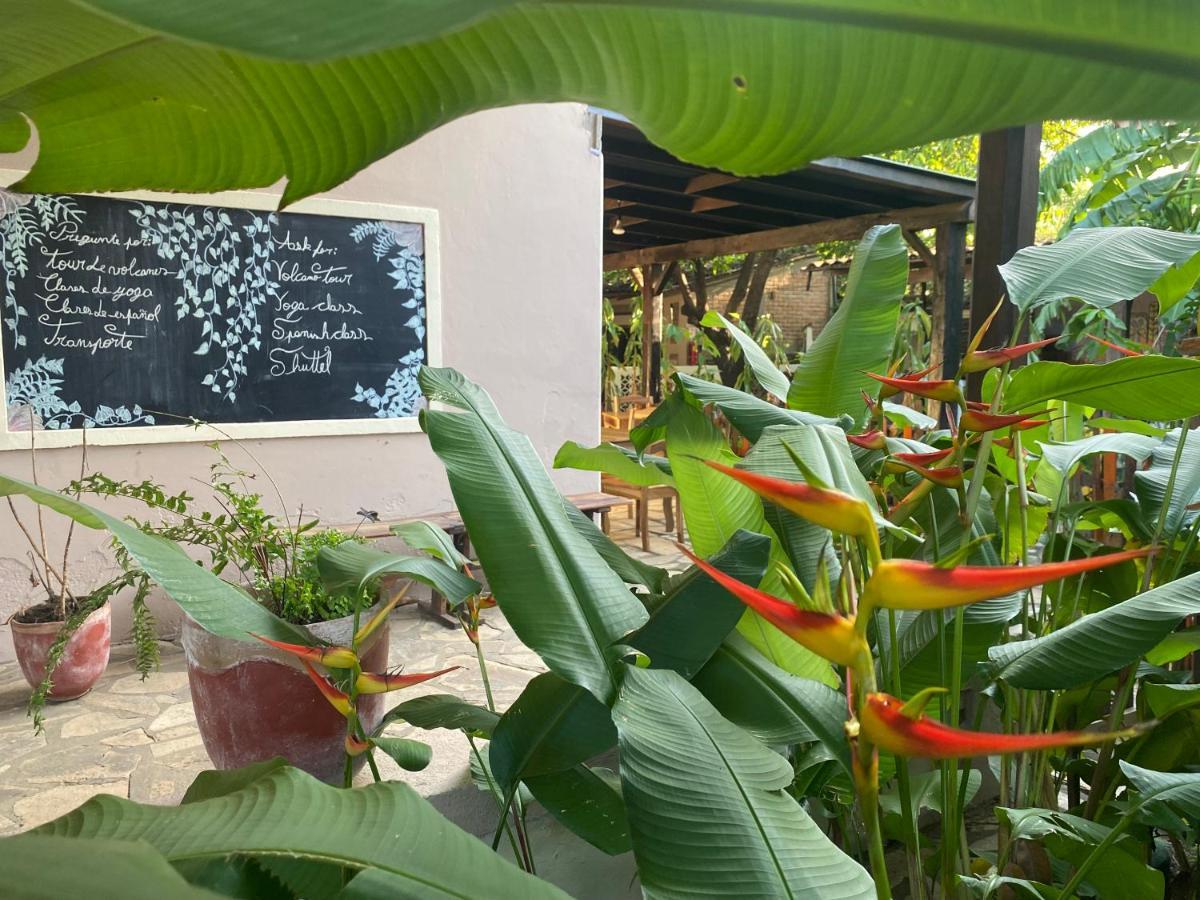 Hostal Casa Abierta León 외부 사진