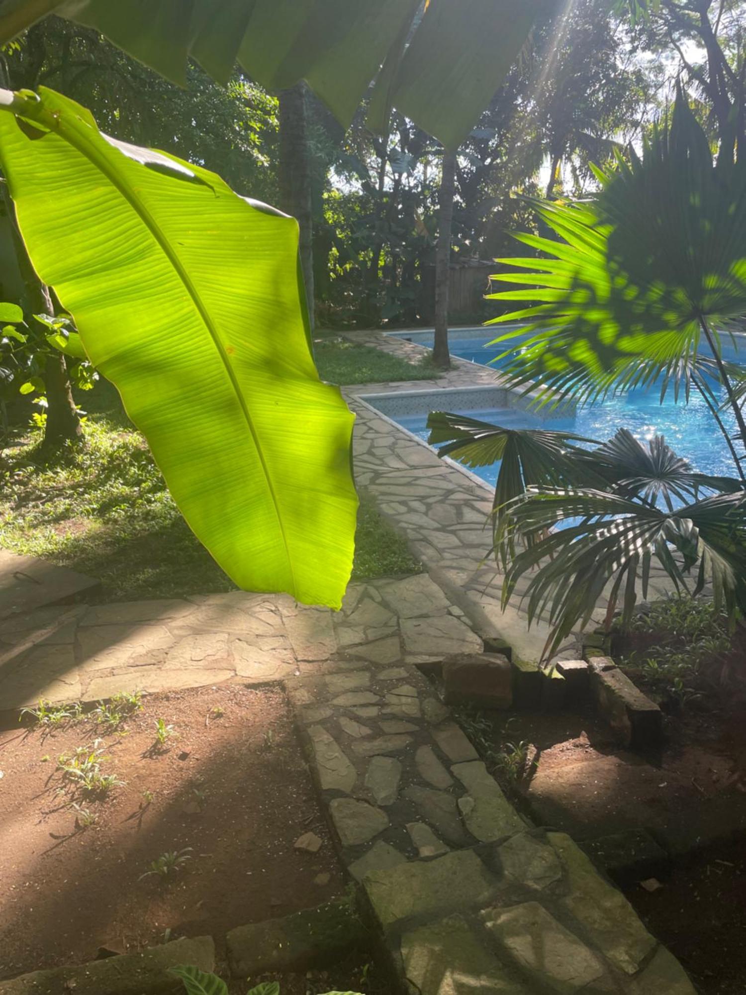 Hostal Casa Abierta León 외부 사진